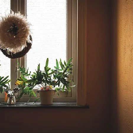 Bed & Breakfast La Passion Interdite 4*