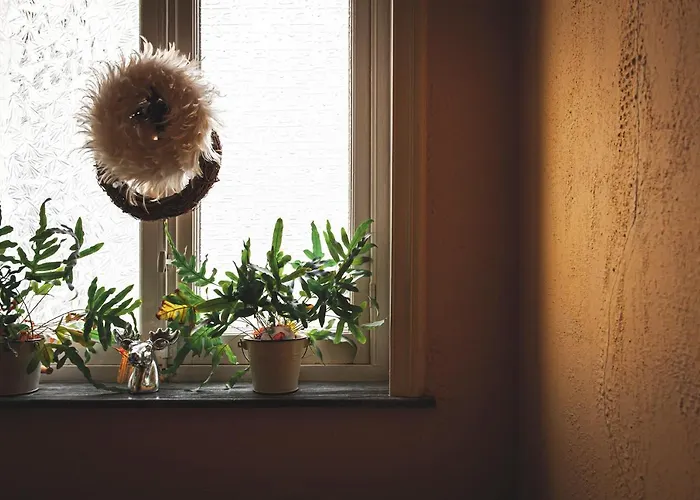 Bed and breakfast La Passion Interdite 4*