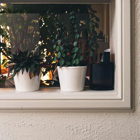 La Passion Interdite