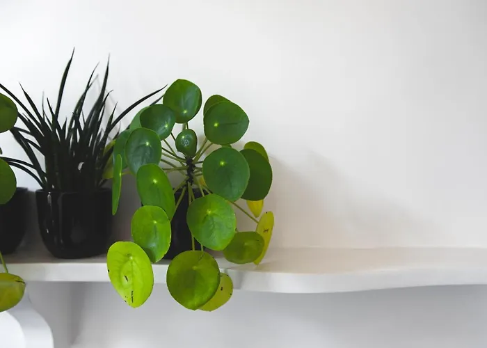 La Passion Interdite 4*